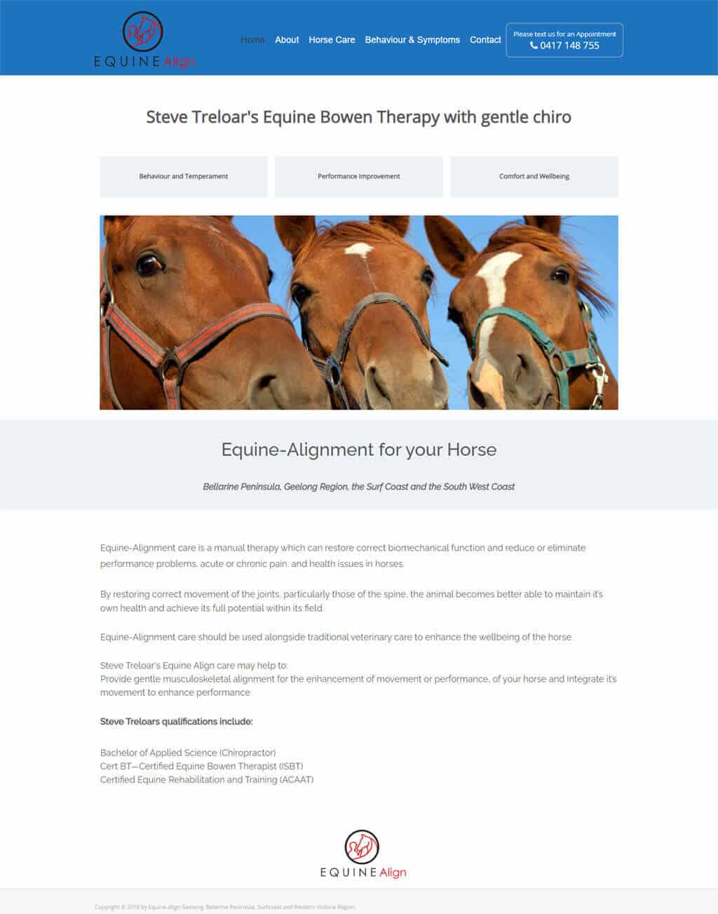 Website Designed for Steve Treloar, former Chiropractor now working happily with horses