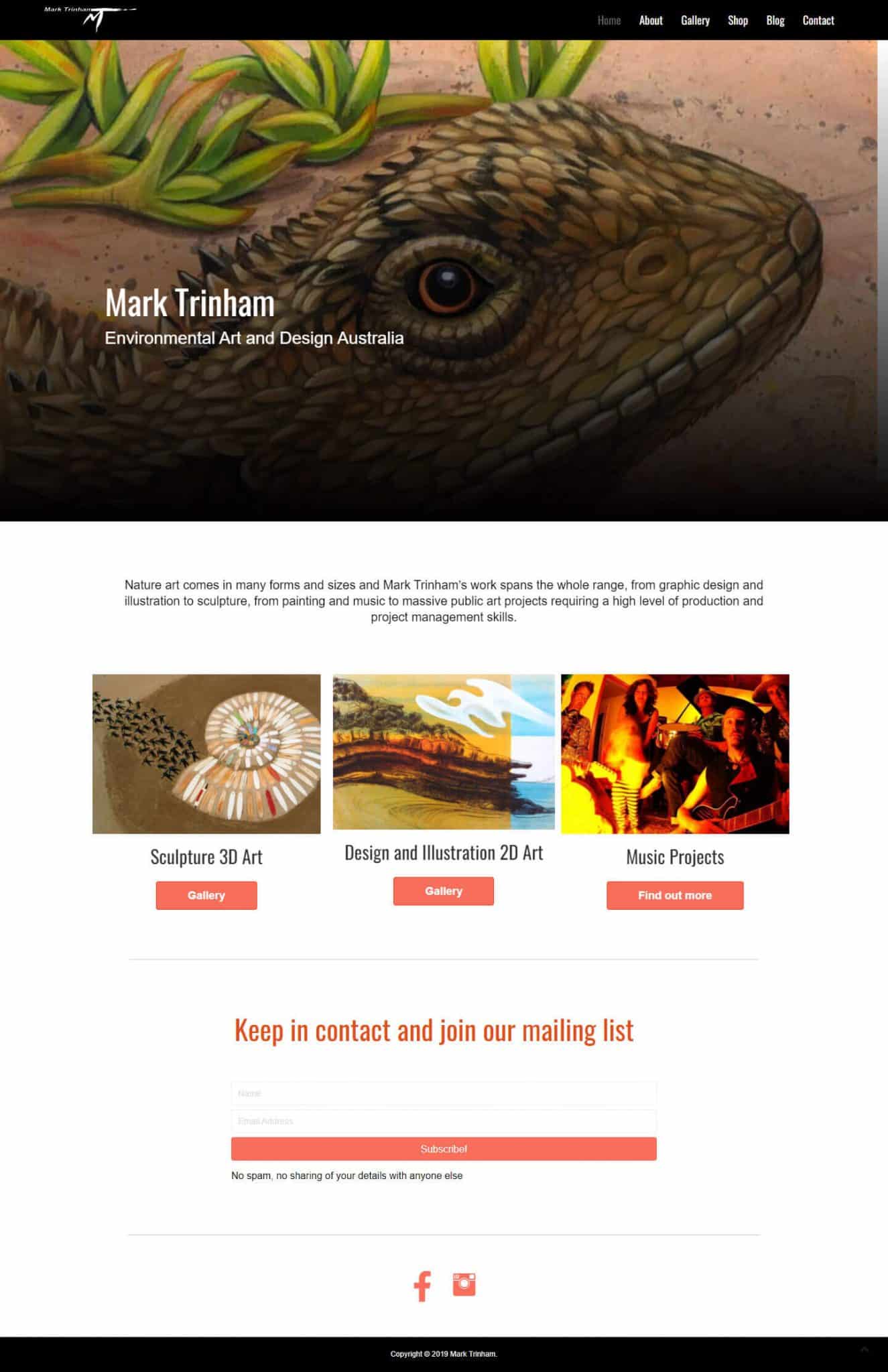 Website design for local Torquay Artist Mark Trinham